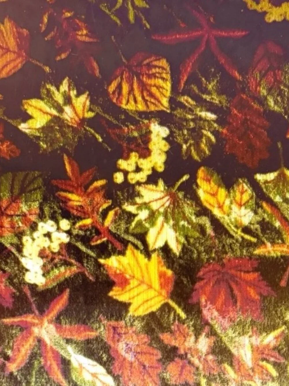 The Big One Fall & Harvest Oversized Supersoft Plush Throw 'Fall Leaves' 60